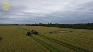 Chamomile harvester
