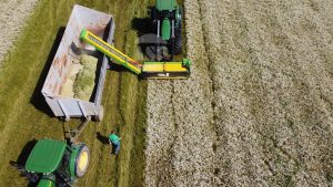Chamomile flower harvester