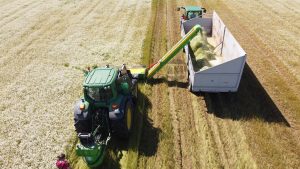 Chamomile flower harvester