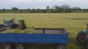 Chamomile harvester